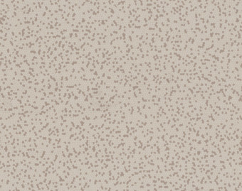 [200111122_56] Taralay Impression Compact - 1062 Nido Beige